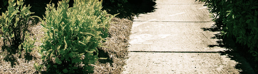 ddos在线压力测试平台